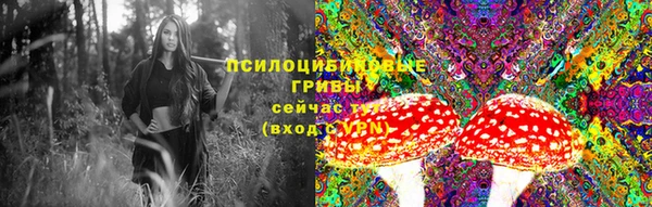 метамфетамин Богородицк
