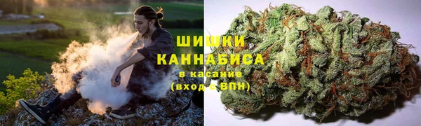 твердый Богородск